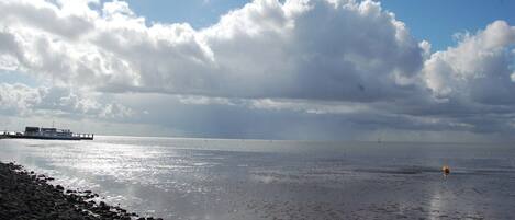 بالقرب من الشاطئ