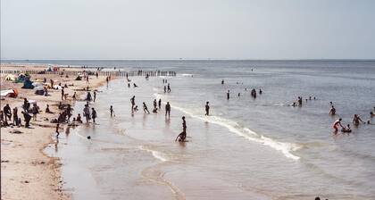 Villa con acceso para mascotas