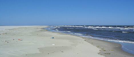 بالقرب من الشاطئ