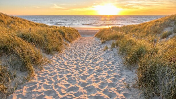 A sandy beach path with grass on either side leading to the ocean. - Villa near Texel Beach with Sauna (De Koog)