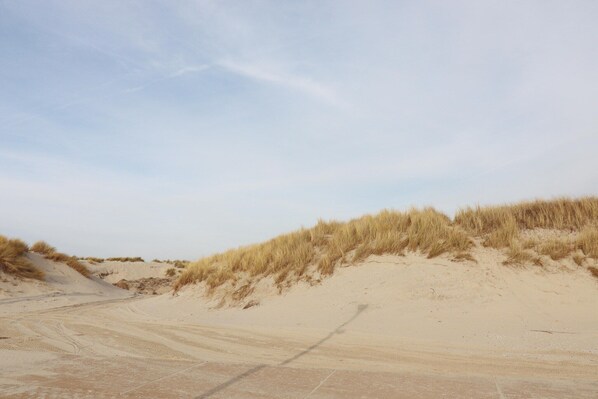 A sandy beach with dunes and a clear sky. - Beautiful chalet between golf course and beach (Hollum)