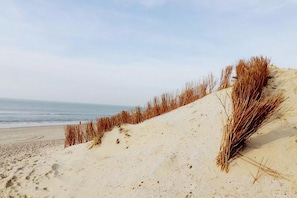 Beach nearby - Restful Dune Chalet in Hollum (Hollum)