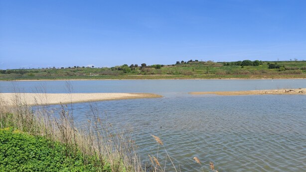 A calm lake with grassy banks and distant trees. - T2 45m2 quiet and close to all amenities (Lattes)