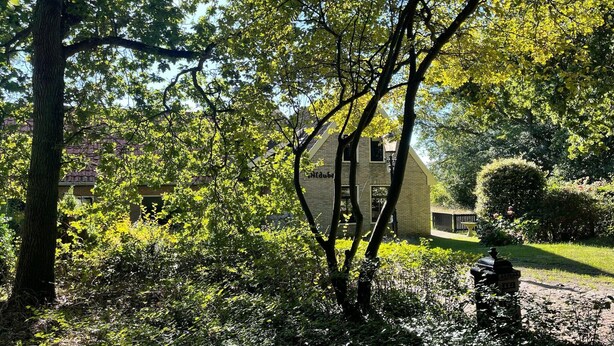 A house surrounded by lush greenery and trees. - Spacious Country Retreat (Den Burg)