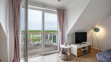 Fernseher, DVD-Player, Tischtennisplatte