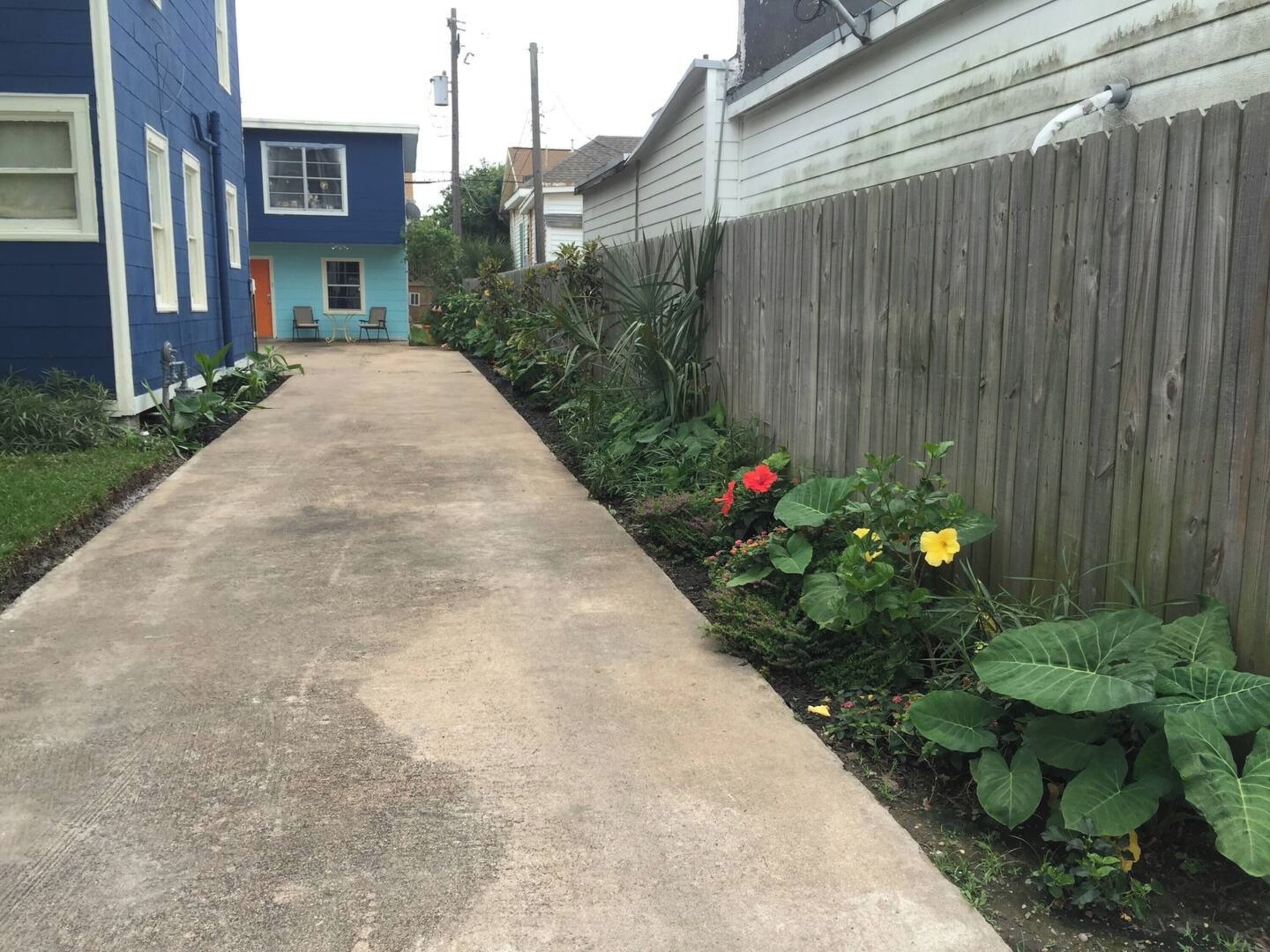 A residential driveway with a concrete path, a wooden fence, and various plants and flowers along the sides.