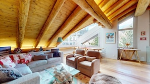 TV, fireplace