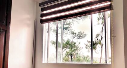 Cozy 1 BR Unit Condo Near Wright Park, Wifi and Parking