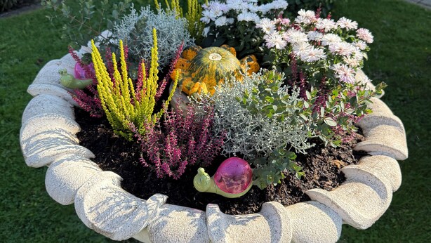Un jardinière contenant diverses plantes et agrémentée d’une citrouille décorative.
