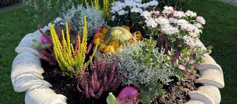 Ziegelhüttenblick- also suitable for fitters