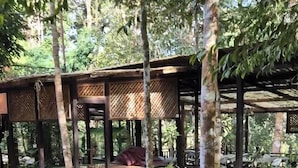 A rustic outdoor area with a wooden pergola, stone steps, and potted plants.