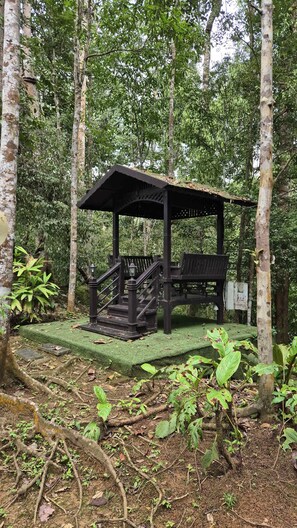 Enceinte de l’hébergement