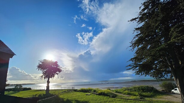 A coastal view with a grassy area, a tree, and a building in the foreground.