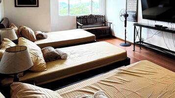 Apartment, 1 Bedroom, Accessible, Mountain View | 1 bedroom