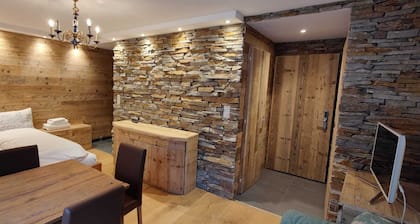 Newly renovated apartment, central location