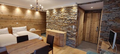Newly renovated apartment, central location