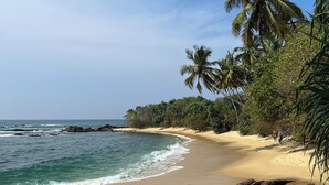 A beach with clear blue water, sandy shore, and palm trees. - Into The Blue Sri Lanka (Tangalle)