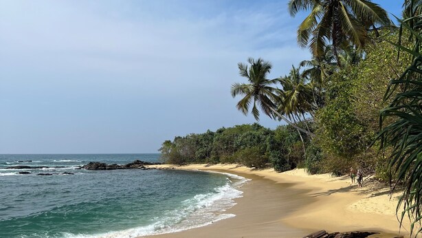 A beach with clear blue water, sandy shore, and palm trees. - Into The Blue Sri Lanka (Tangalle)