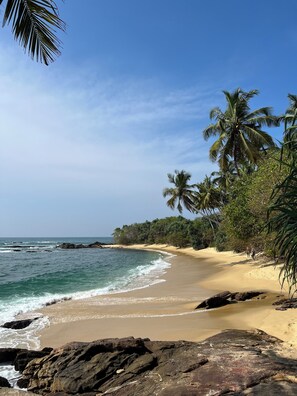 Ein Strand mit klarem, blauem Wasser, sandigem Ufer und Palmen.