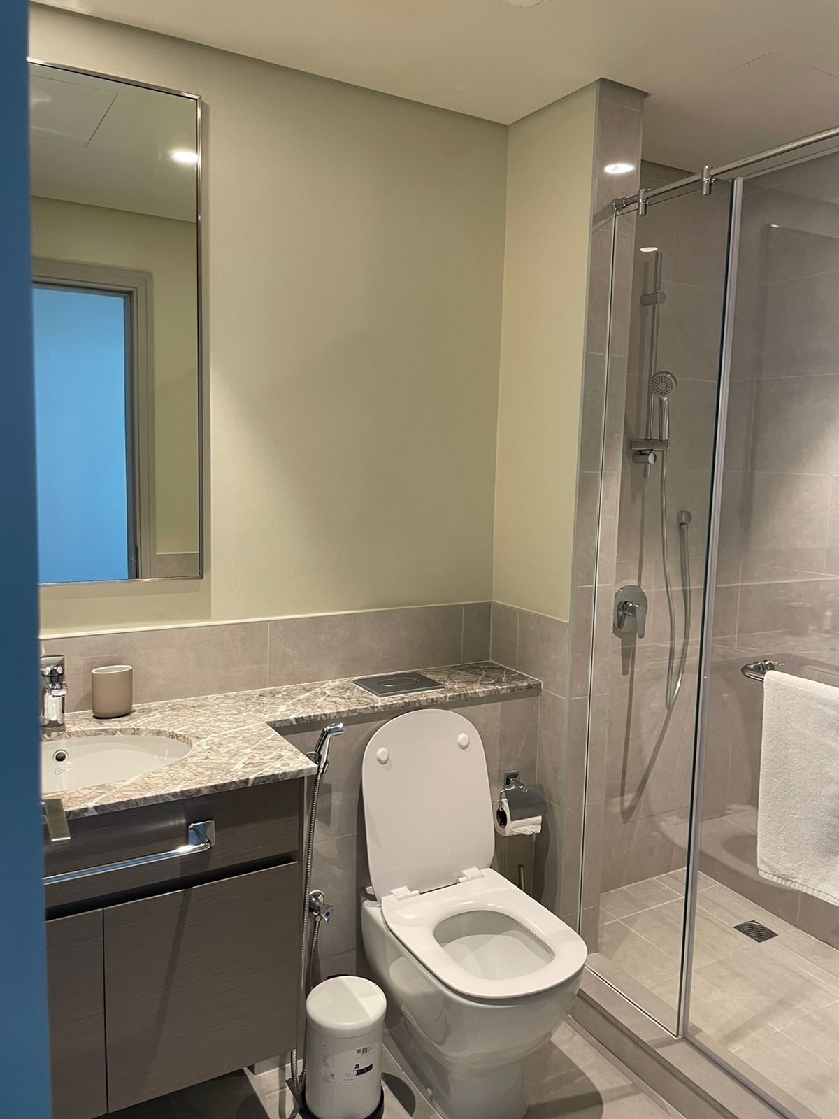 A modern bathroom with a toilet, sink, and shower.