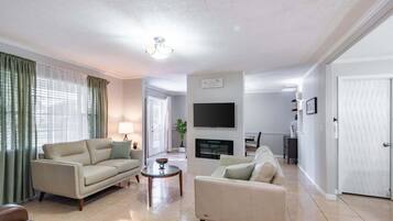 Smart TV, fireplace, books