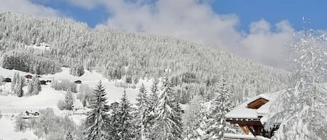 A snow-covered mountain with a wooden chalet and several cabins.