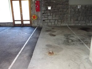 A room with a stone wall, a fire extinguisher, and a door.
