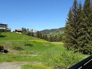 Property grounds - Spacious 6-Room Duplex, 12 Guests, WiFi, Garage, Close to Slopes - Sheets & Towels Included in Winter (Les Gets)