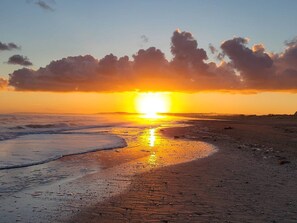 Accommodatie ligt op het strand
