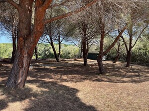 Overnattingsstedets uteområder