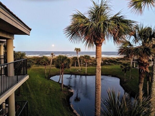 Property grounds - FREE DAILY FUN with this beach lovers dream getaway! (Saint Augustine)