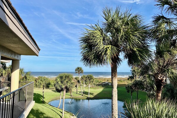 Property grounds - FREE DAILY FUN with this beach lovers dream getaway! (Saint Augustine)