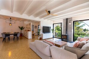 Télévision, cheminée, livres, chaîne hi-fi
