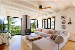 TV, fireplace, books, stereo