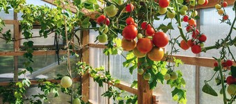 6 Person Holiday Home in Ebeltoft