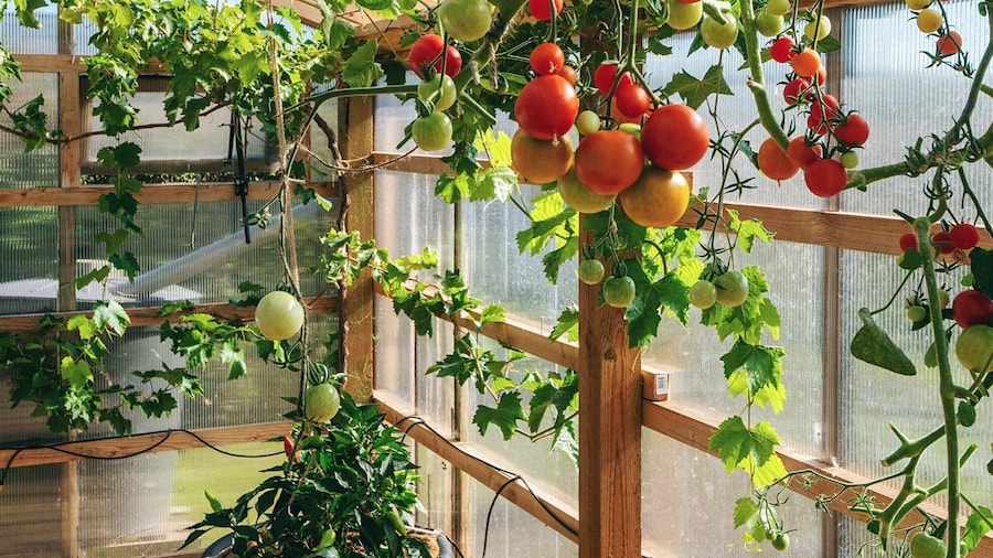 6 Person Holiday Home in Ebeltoft