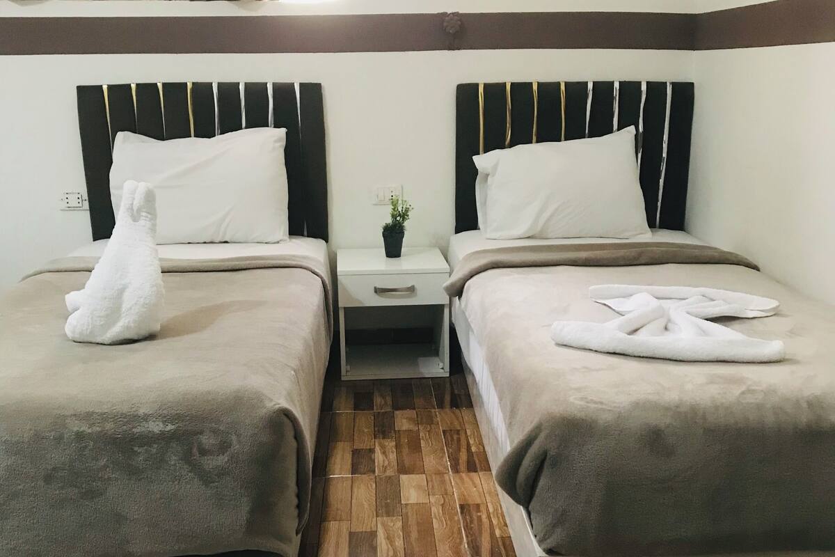 A hotel room with two beds, each with a white pillow and a towel. There is a small table between the beds with a potted plant on it.