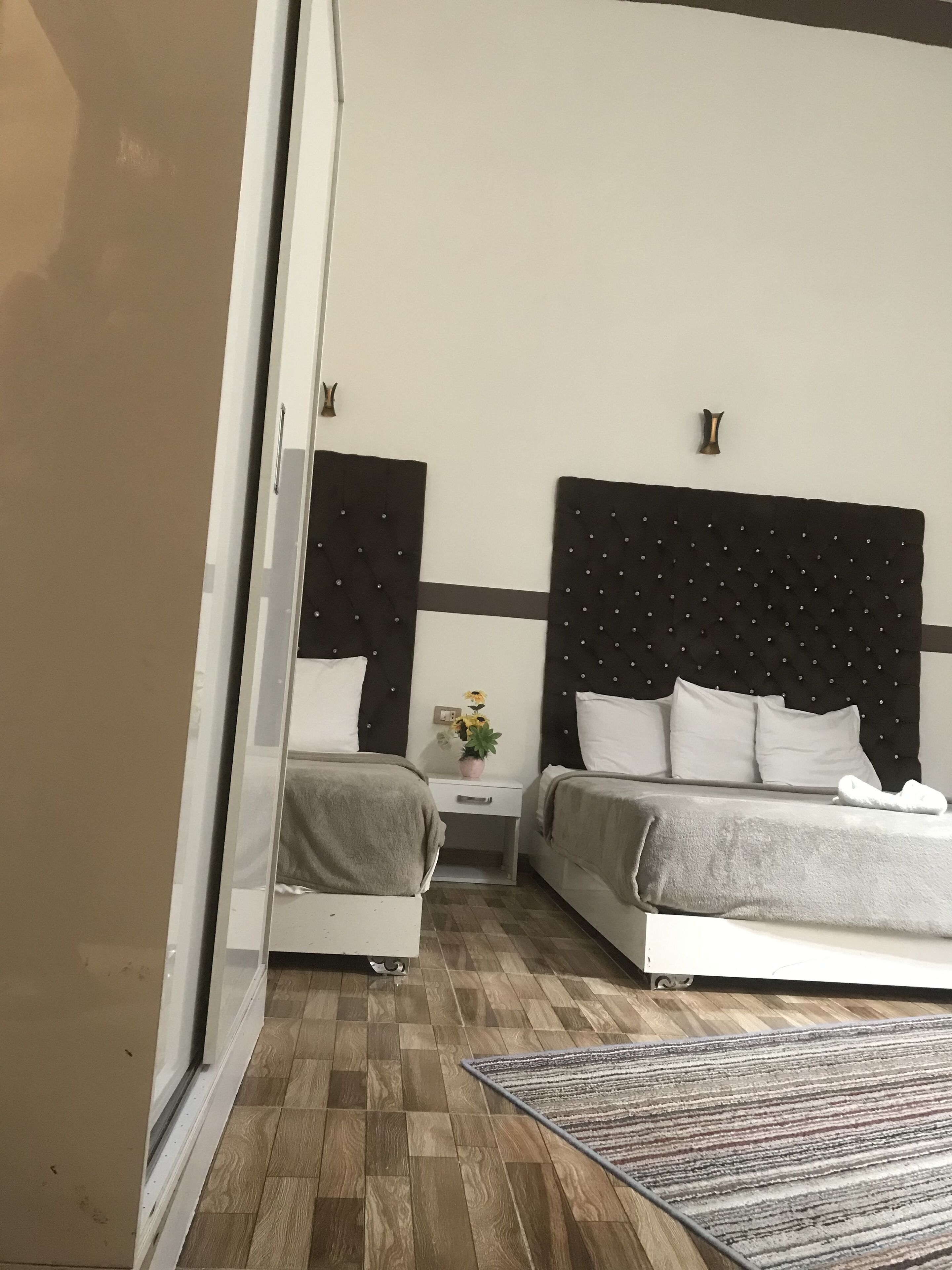 A bedroom with two beds, a nightstand, a small table with a plant, and a patterned rug.