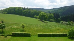 Un paysage rural caractérisé par des collines douces, un grand arbre et un champ délimité par une clôture.