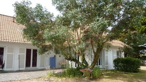 A white building with a tiled roof and a garden area with a tree and flowers.