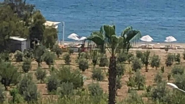 A coastal landscape with a beach, palm trees, and umbrellas. - Anamur Çilek Otel (Anamur)