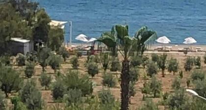 Anamur Çilek Otel