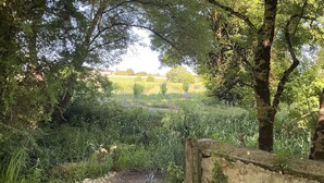 Paisaje natural con un arroyo, abundante vegetación y un campo lejano.