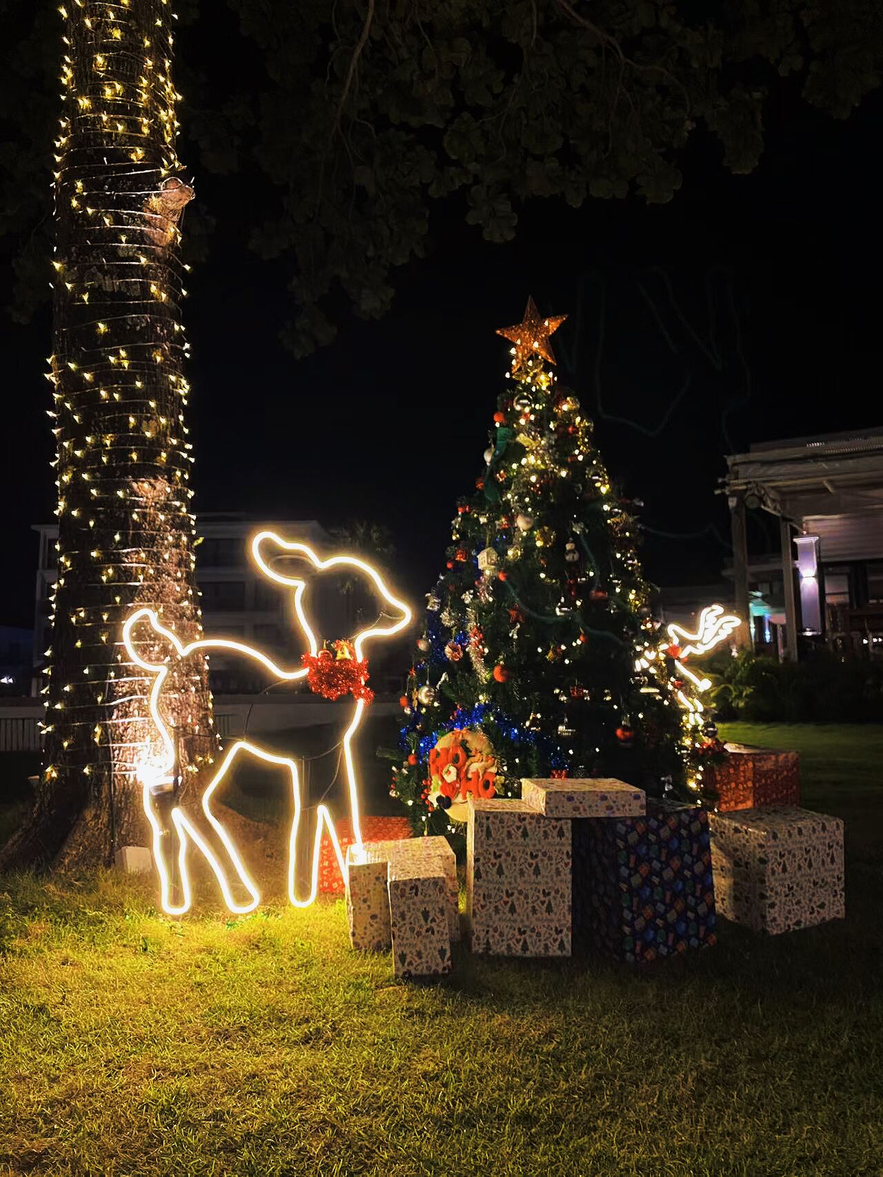 A Christmas tree decorated with lights and ornaments, surrounded by gift boxes.