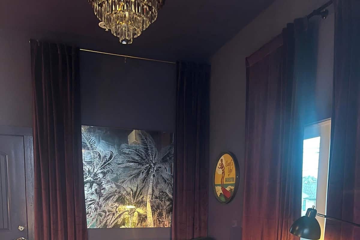 Un salon avec un canapé foncé, une table basse ronde, un tapis à motifs zébrés, un fauteuil rouge et une grande fenêtre avec des rideaux.