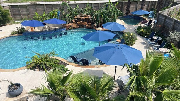 Une piscine bordée de plusieurs parasols, de chaises longues et de palmiers.
