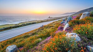 Carretera costera con vistas al atardecer, terreno rocoso y flores silvestres.