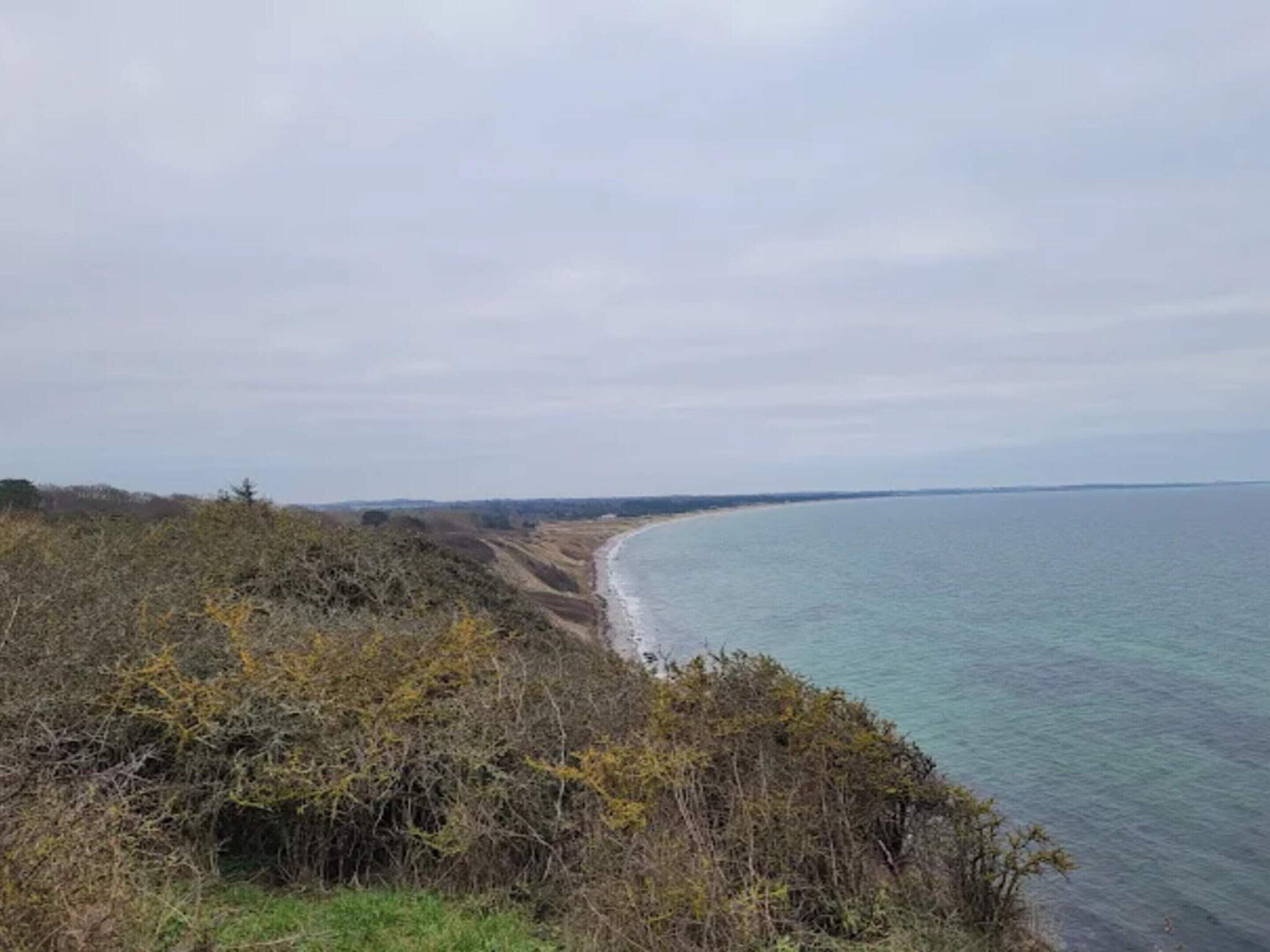 Ett kustlandskap med en strand och vegetation.