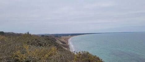 A coastal landscape with a beach and vegetation.