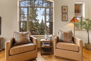 Télévision, cheminée, espaces bureaux